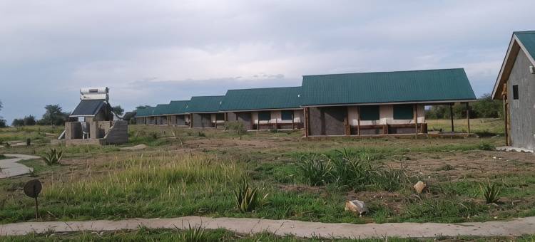 泽布拉科曼格勒布什帐篷小屋(Africa Safari Serengeti Ikoma)图片