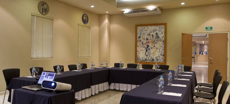 莫雷利亚图罗特尔酒店(Hotel Turotel Morelia)图片