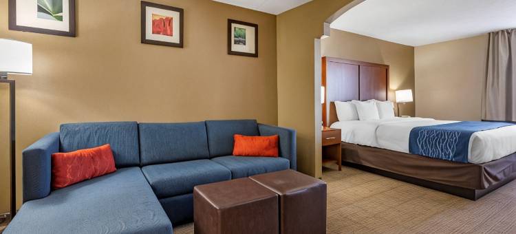 洛兹堡 I-10 舒适套房酒店(Comfort Inn & Suites Lordsburg I-10)图片