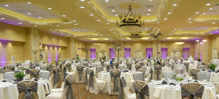 圣路易斯夏伊洛奥法伦希尔顿花园酒店(Hilton Garden Inn St. Louis Shiloh/O'Fallon)图片