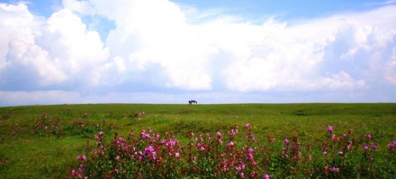 塞罕坝杰事杰民宿图片