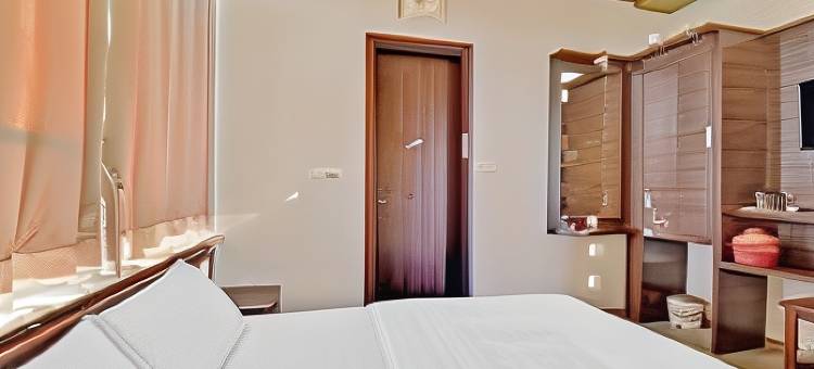 Hotel Maharani Palace图片