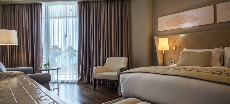 大卫塔酒店涅坦亚普瑞玛酒店 – 16岁以上(David Tower Hotel Netanya by Prima Hotels - 16 Years Plus)图片