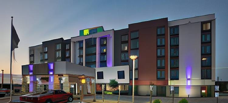 智选假日套房酒店达拉斯英尺。 WORTH机场南(Holiday Inn Express & Suites DALLAS FT. WORTH AIRPORT SOUTH by IHG)图片