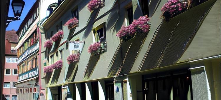 纽伦堡阿格尼斯舍弗酒店(Hotel Agneshof Nürnberg)图片