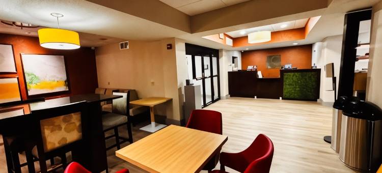 舒适酒店(Comfort Inn)图片