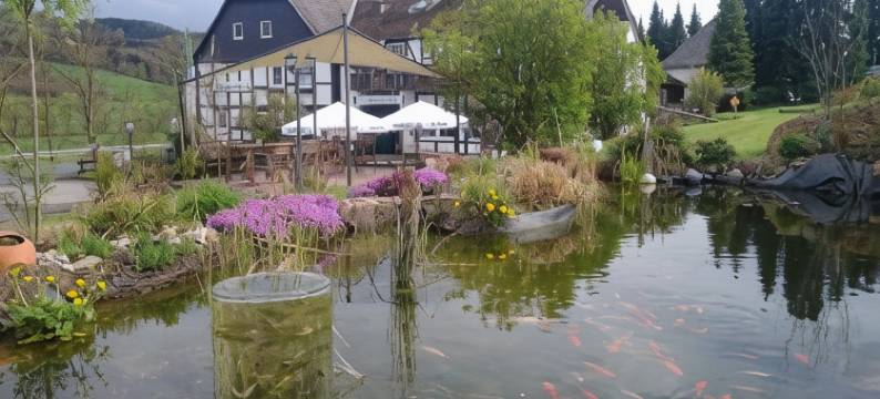 亨尼塔勒尔宾馆(Hennetaler Hof)图片