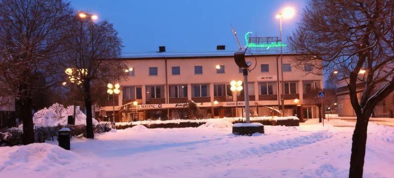 Hotell Skinnargården图片