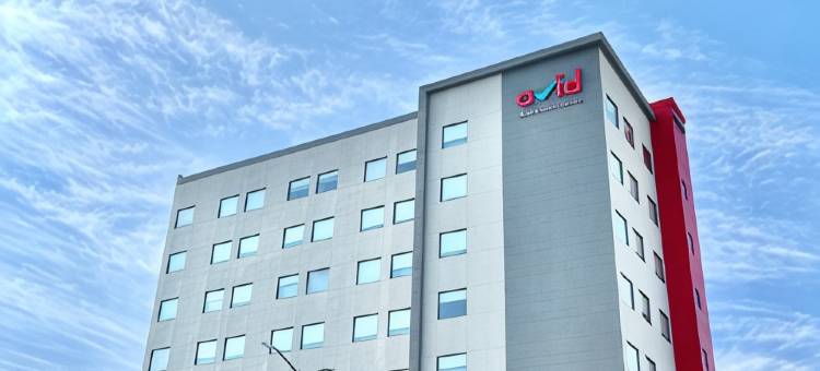 IHG 旗下 Avid 酒店 瓜达拉哈拉 瓦拉塔大道 PTE(Avid Hotel Guadalajara AV Vallarta Pte)图片
