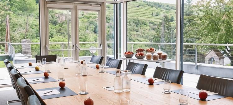 克雷姆斯水疗中心施柏阁酒店(Steigenberger Hotel and Spa, Krems)图片