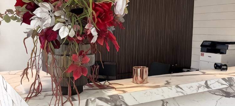 阿玛丽利斯弗尔内酒店(Amaryllis Hotel Veurne)图片