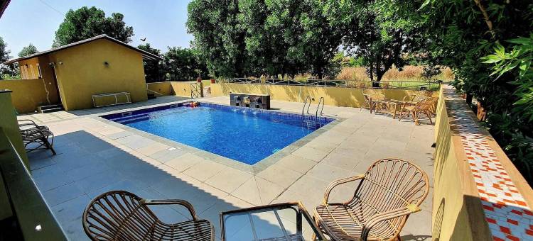 威拉瓦达尔黑羚野生动物园旅馆(Blackbuck Safari Lodge Velavadar)图片