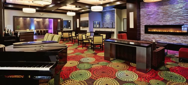 Holiday Inn & Suites 芝加哥西北 - 埃尔金(Holiday Inn & Suites Chicago Northwest - Elgin)图片