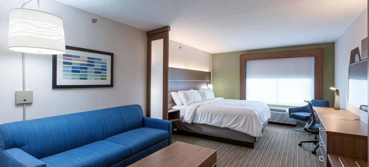 阿林顿北体育场区智选假日套房酒店(Holiday Inn Express & Suites Arlington North – Stadium Area)图片