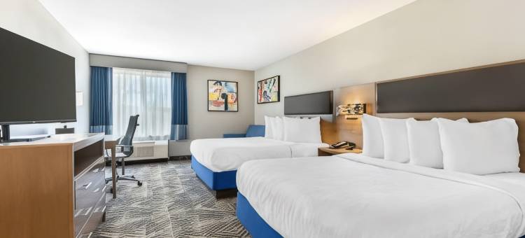 路易斯维尔科佩尔贝斯特韦斯特优质酒店(Best Western Plus Lewisville Flower Mound)图片