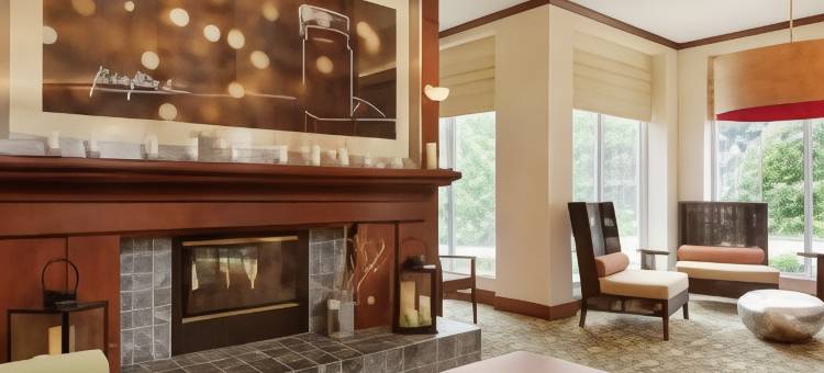 费尔法克斯希尔顿花园酒店(Hilton Garden Inn Fairfax)图片