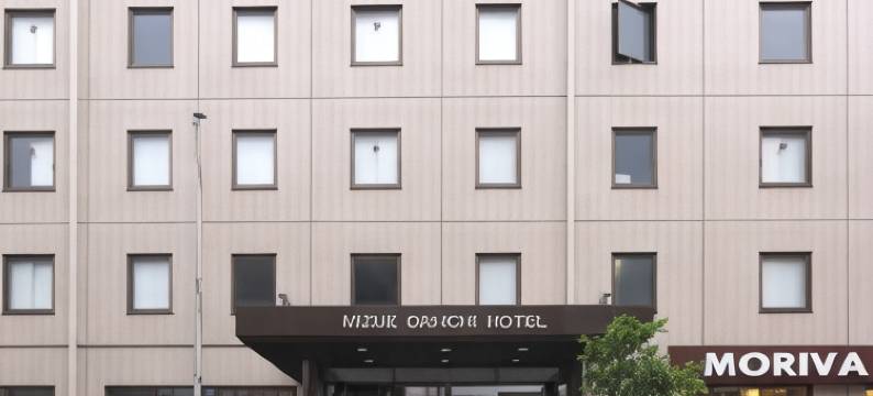 瑞江第一酒店(Mizue Dai-Ichi Hotel)图片