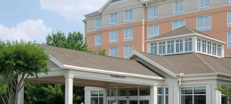 北亚特兰大/阿尔普哈雷塔希尔顿花园酒店(Hilton Garden Inn Atlanta North/Alpharetta)图片