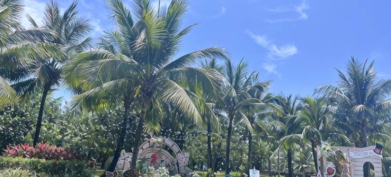 清水湾淘乐美宿公寓(清水湾大道4号分店)图片