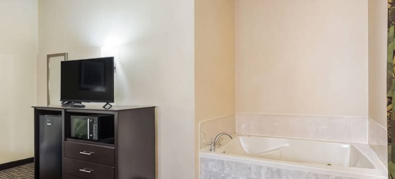 圣路易斯凯西维尔凯艺套房酒店(Quality Inn & Suites Caseyville - St. Louis)图片