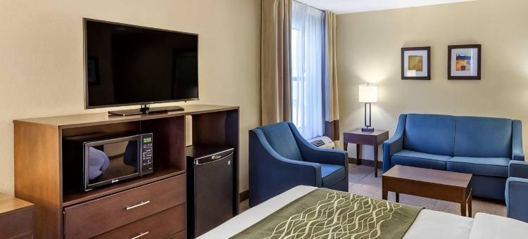 舒适酒店(Comfort Inn)图片