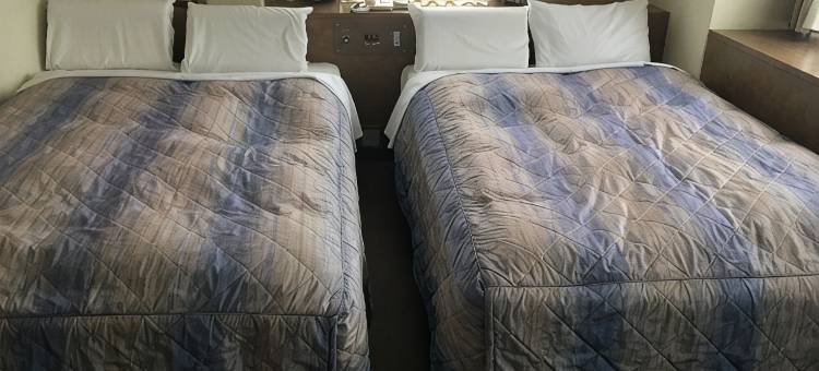 松山皇冠酒店(Hotel Crown Hills Matsuyama)图片