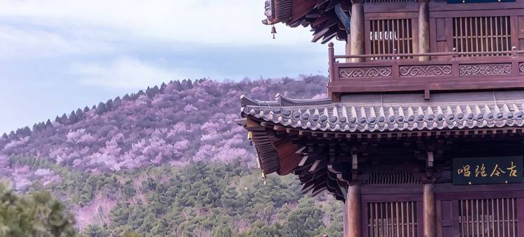 湖观酒店(太原晋祠景区店)图片