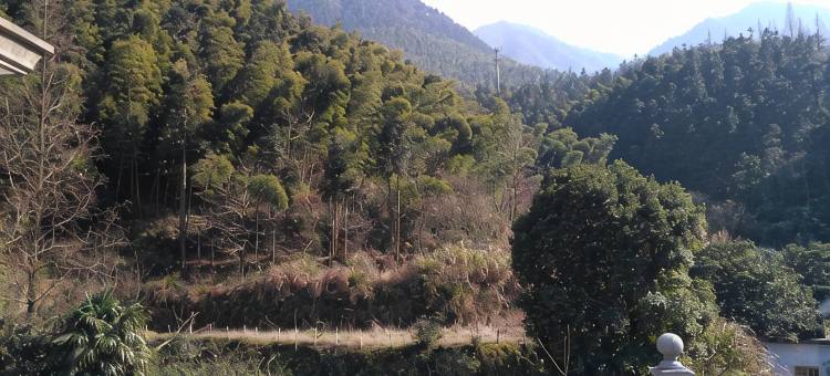 九江紫藤萝青年旅社图片