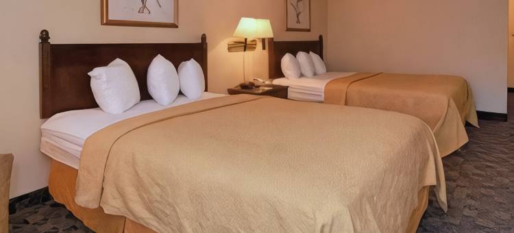 品质酒店机场(Quality Inn Airport)图片