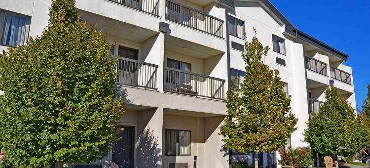乡村贝斯特韦斯特优质套房酒店(Best Western Plus Country Inn  Suites)图片