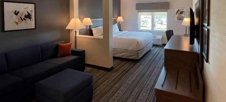 舒适套房酒店(Comfort Inn & Suites)图片