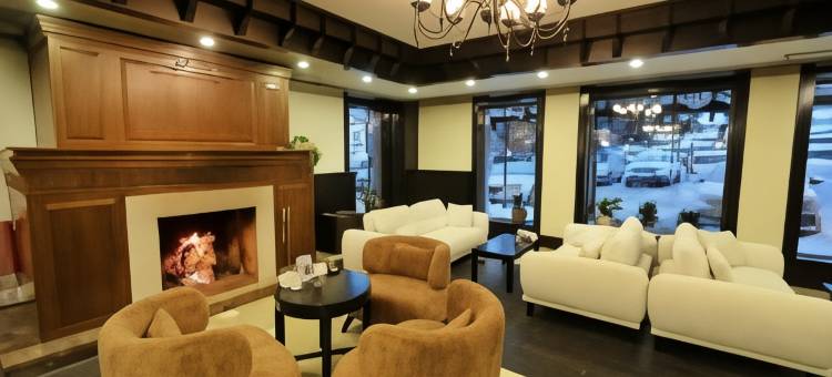 戴德曼滑雪旅馆(Dedeman Palandoken Ski Lodge Hotel)图片