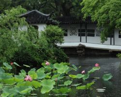 Humble Administrator's Garden updates hours for summer lotus mornings