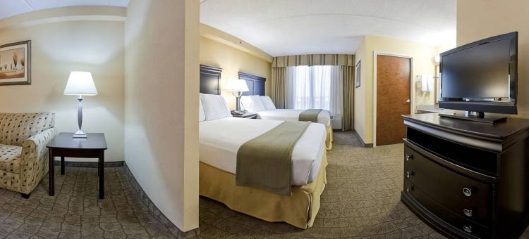 智选假日套房酒店达拉斯英尺。 WORTH机场南(Holiday Inn Express & Suites DALLAS FT. WORTH AIRPORT SOUTH by IHG)图片
