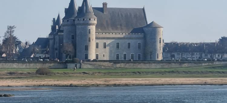 Logis酒店苏利城堡(Logis Hôtel Sully le Château)图片