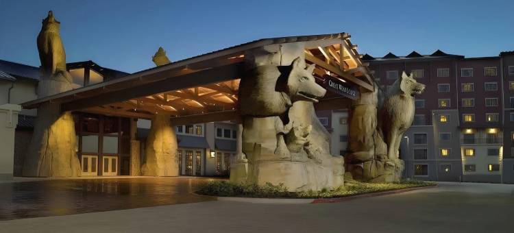 格兰德蒙德大狼屋酒店(Great Wolf Lodge Grand Mound)图片