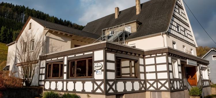 蒂芬哈根萨尔兰酒店(Hotel Tiefenhagen Sauerland)图片