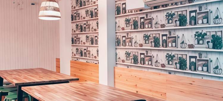 巴特罗旅舍(Onefam Batlló)图片