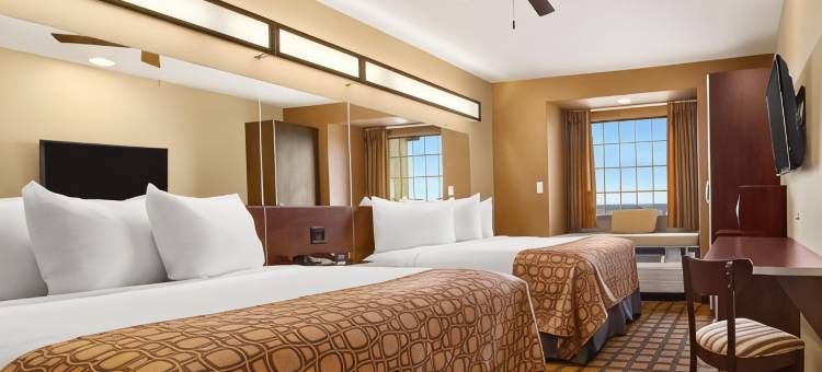 Microtel Inn & Suites by Wyndham Round Rock图片