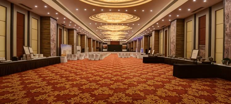 提普顶国际酒店(Hotel TIP Top International Pune)图片