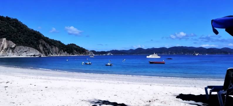 壁虎酒店(El Gecko Hotel & Tours)图片