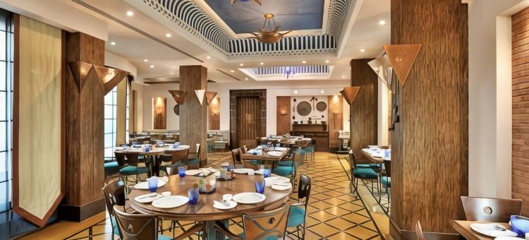 诺伊达丽筠酒店(Radisson Noida)图片