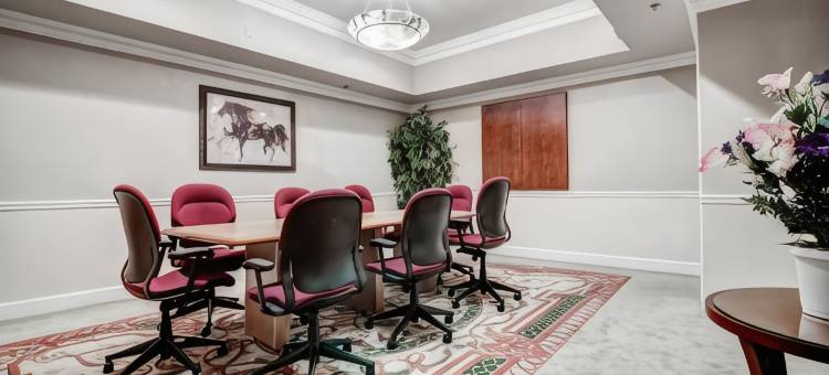 亚特兰大机场华美达广场酒店(Ramada Plaza by Wyndham Atlanta Airport)图片