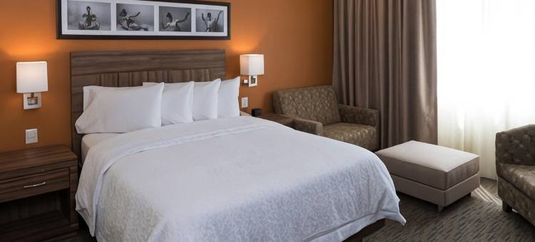 伊拉普阿托欢朋酒店(Hampton Inn by Hilton Irapuato)图片