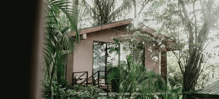 Socialtel 圣塔特雷莎(Socialtel Santa Teresa)图片