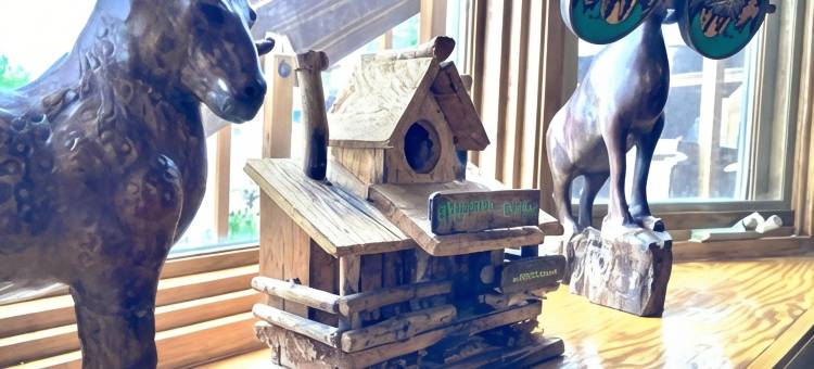 大号角郊外小屋汽车旅馆(Big Horn Lodge)图片