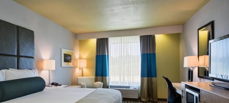 智选假日套房酒店卡莱尔(Holiday Inn Express & Suites CARLISLE - HARRISBURG AREA by IHG)图片