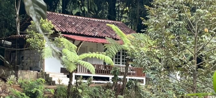 Villa Sentul Forest Club图片