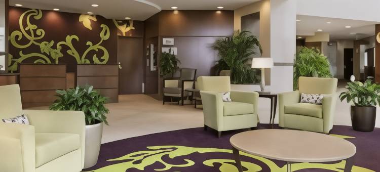 布法罗希尔顿安泊酒店(Embassy Suites by Hilton Buffalo)图片