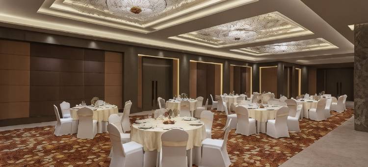 齐普尔阿梅尔希尔顿逸林酒店(DoubleTree by Hilton Jaipur Amer)图片